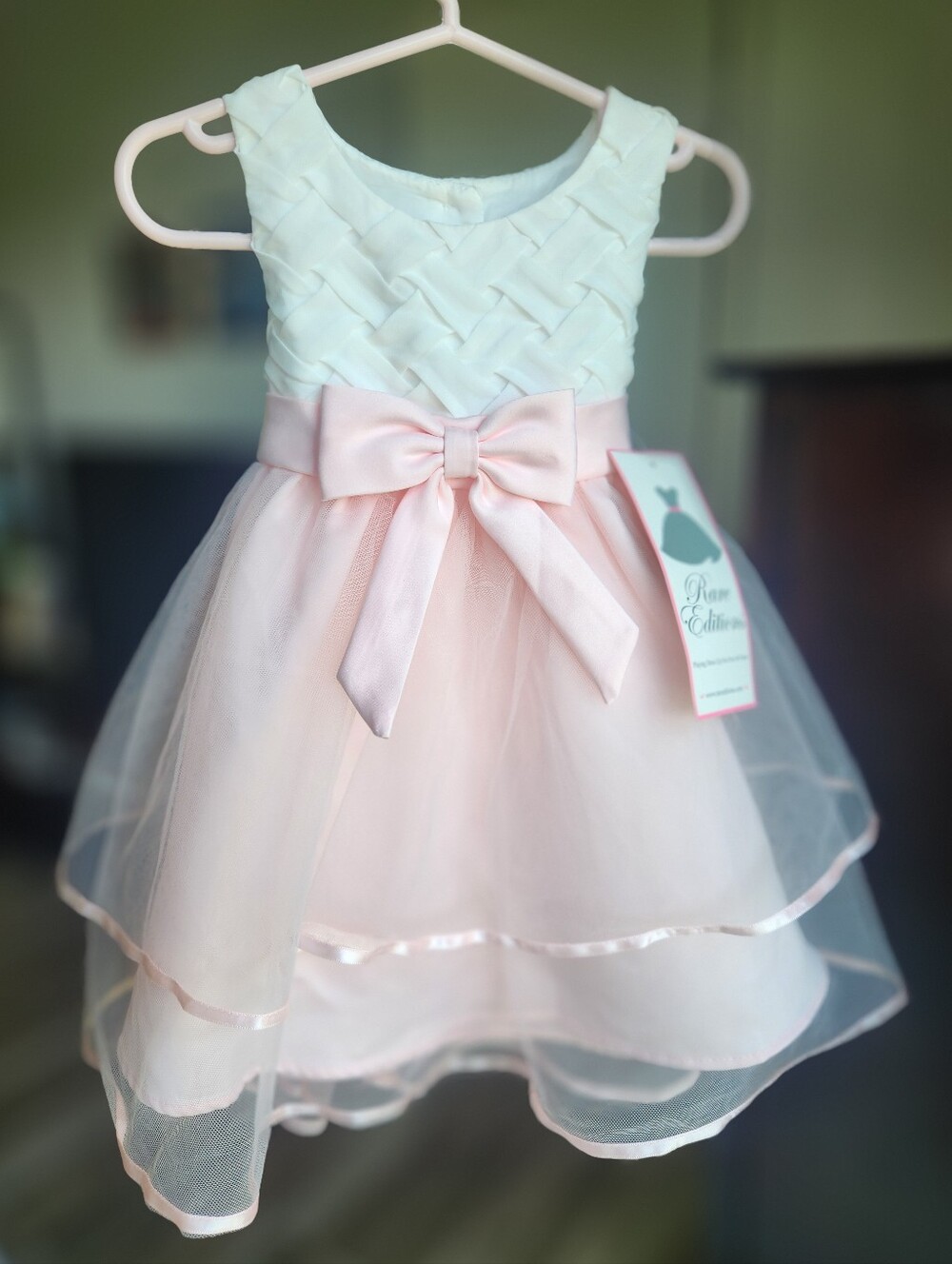 NWT Rare Editions toddler girl's Formal Dress 2T